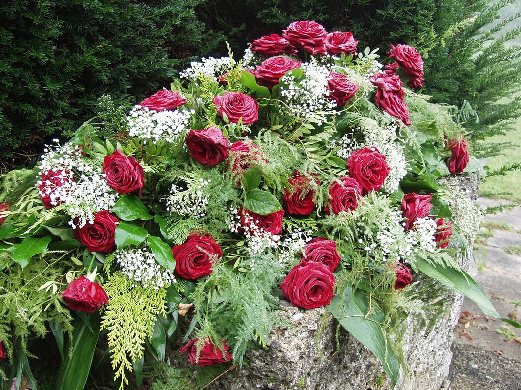 plant-flower-red-botany-cemetery-garden-1143670-pxhere.com