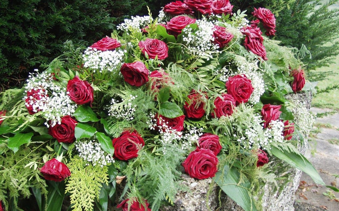 plant-flower-red-botany-cemetery-garden-1143670-pxhere.com